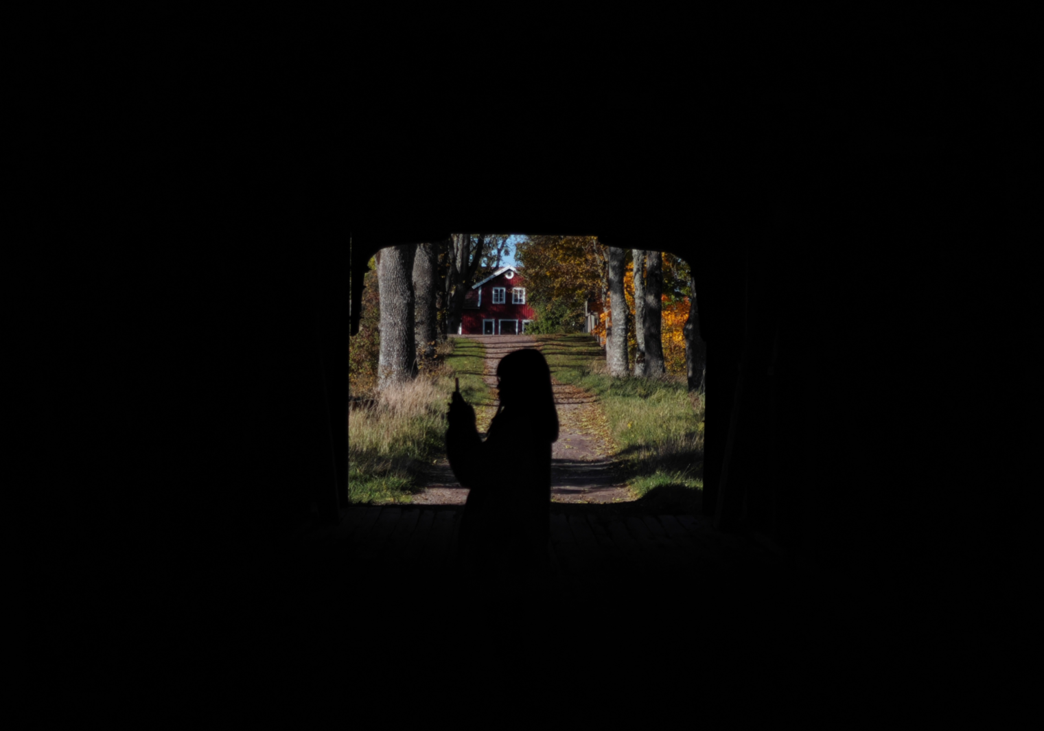 The natural view framed by Vaholms Brohus when standing at the bridge's centre